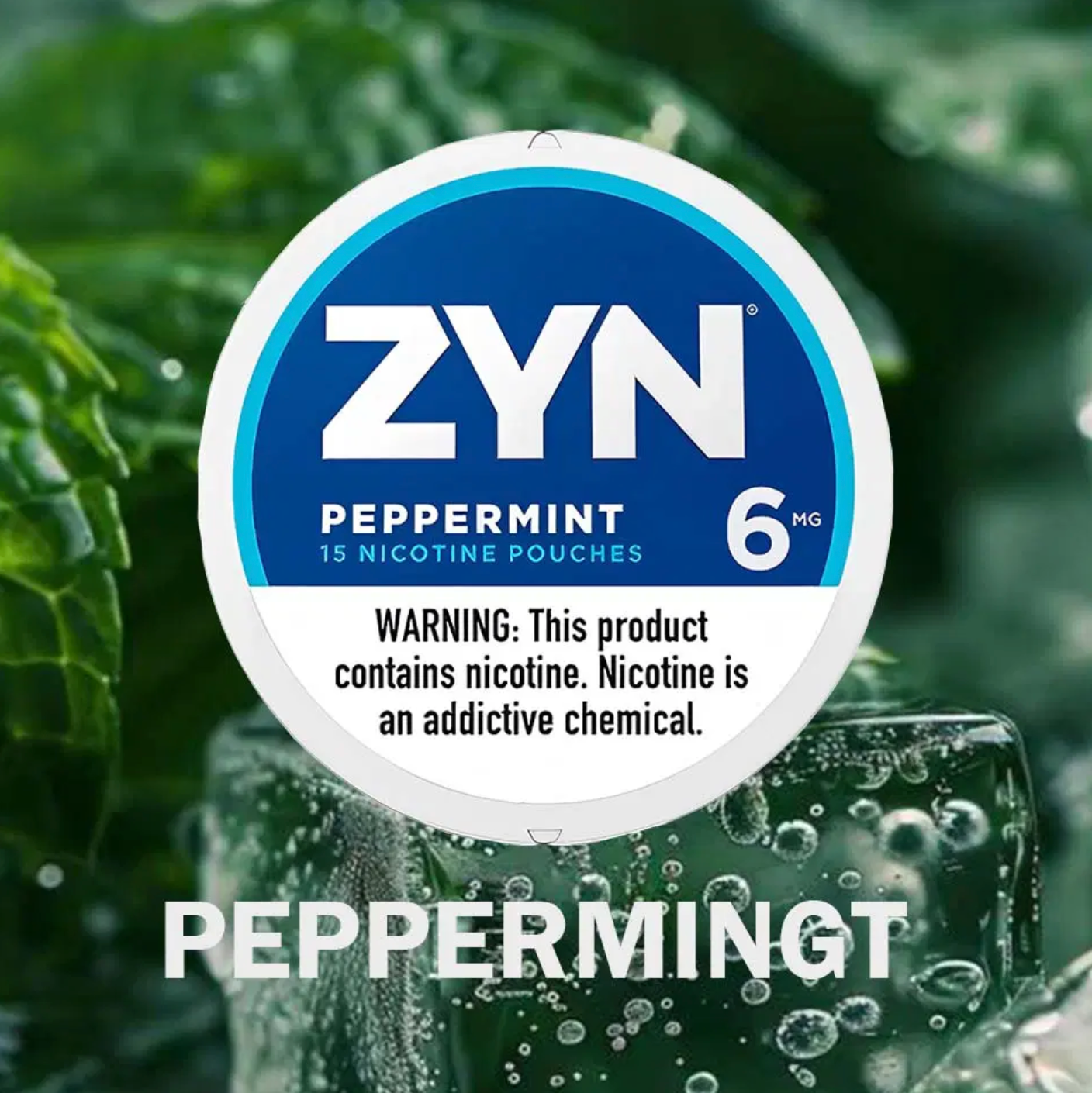 Zyn - Peppermint 6mg